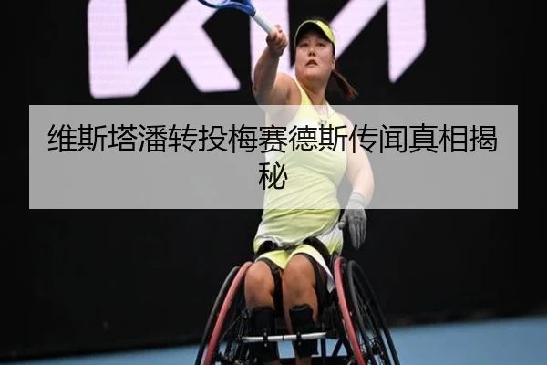 维斯塔潘转投梅赛德斯传闻真相揭秘