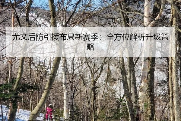尤文后防引援布局新赛季：全方位解析升级策略
